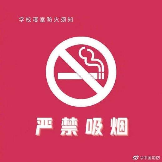 麻豆视频