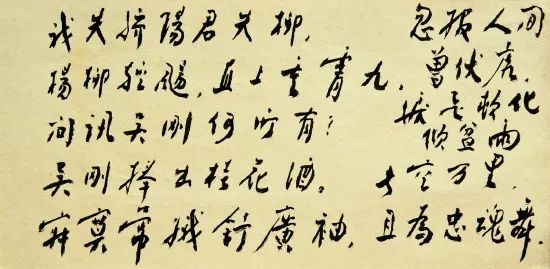 麻豆视频