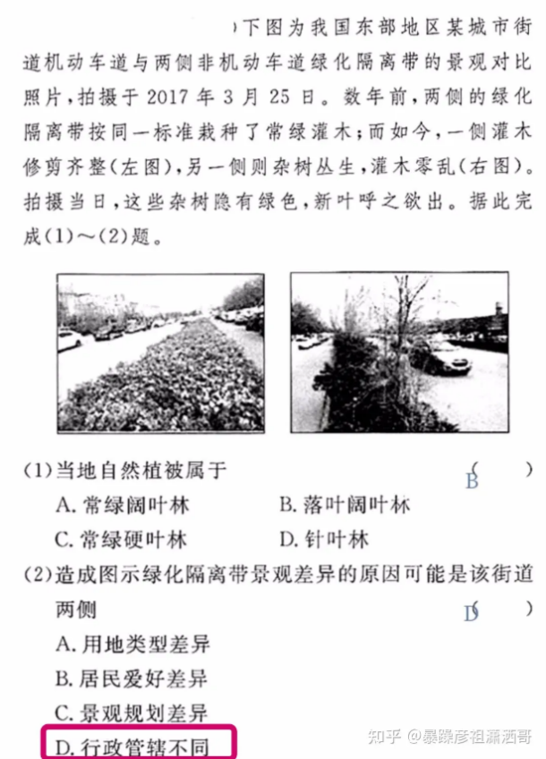 麻豆视频