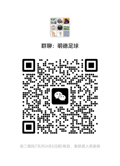 麻豆视频