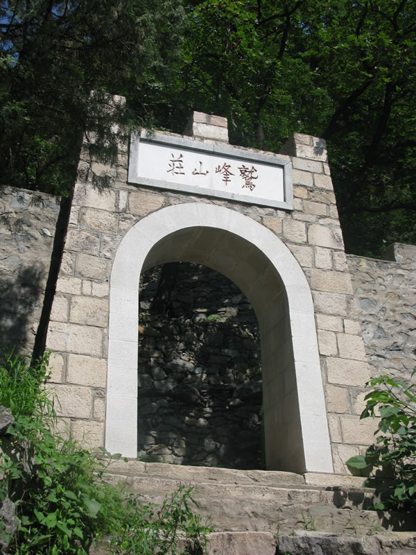麻豆视频