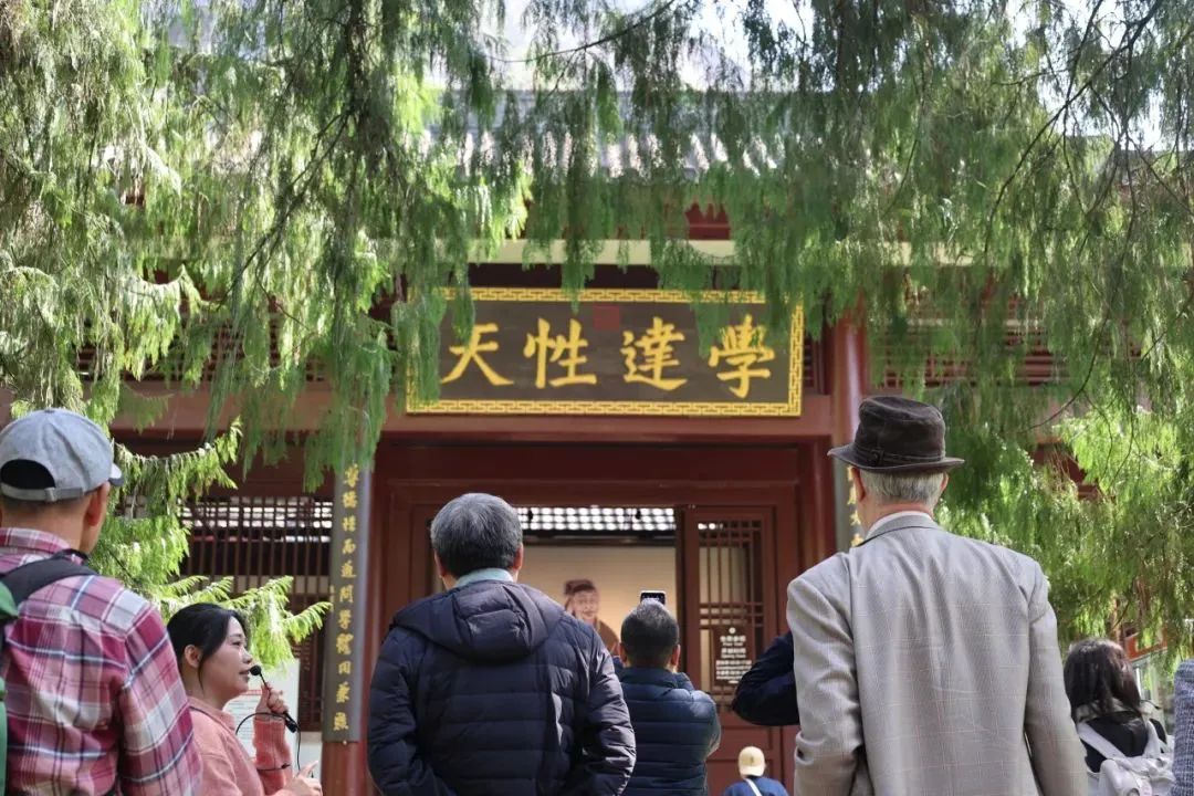 麻豆视频